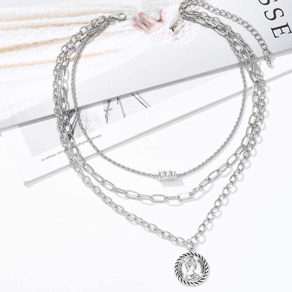 🎉🎉HP🎉🎉Silver Layered Necklace Set - Picture 3 of 7